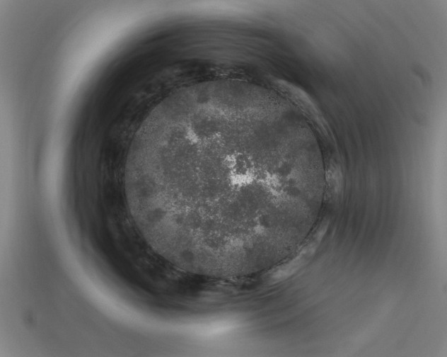 X0000113610765200909181419