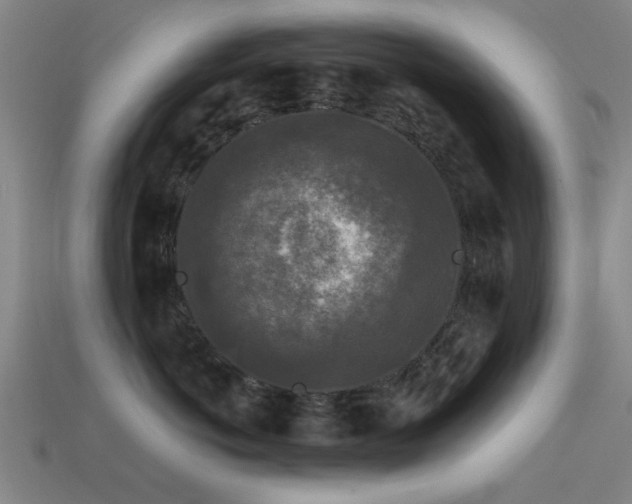 X0000113610766200909181419