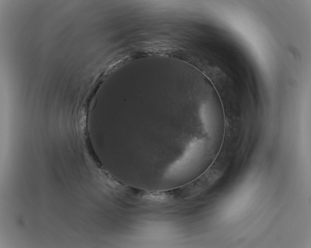 X0000113610767200909181419