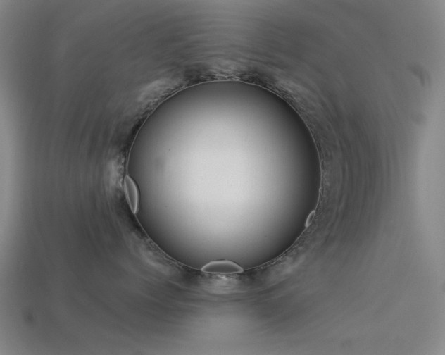 X0000113610768200909181419