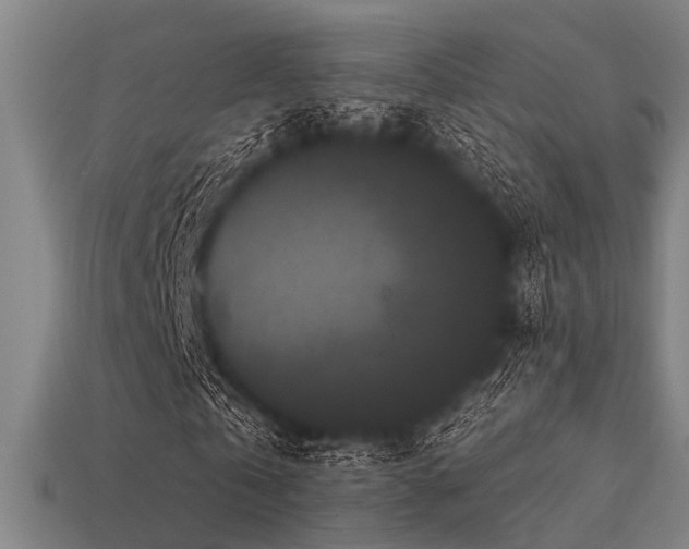 X0000113610769200909181418