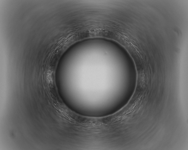 X0000113610770200909181418