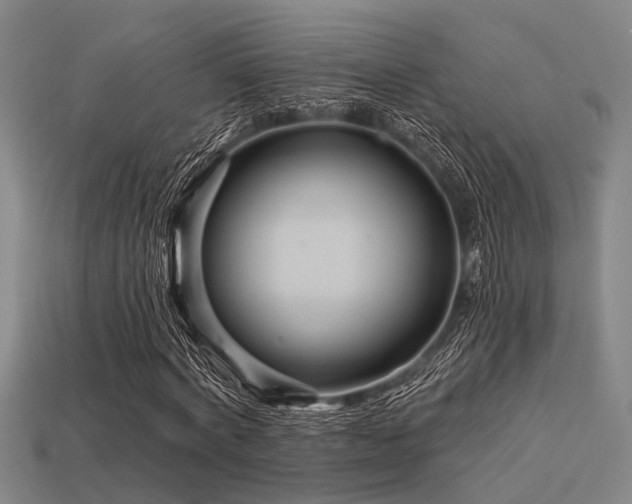 X0000113610772200909181418