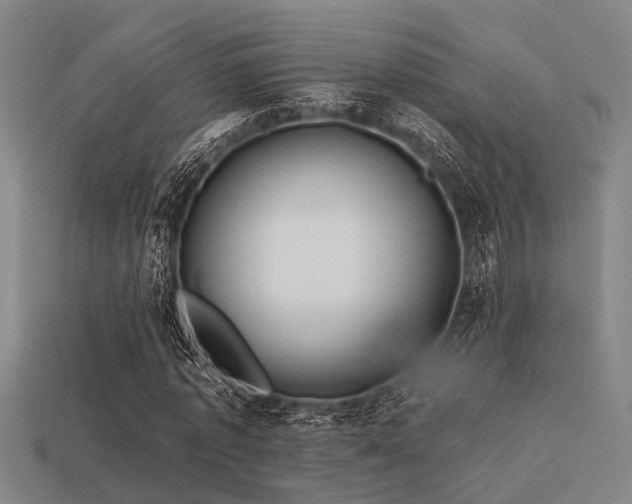 X0000113610773200909181418