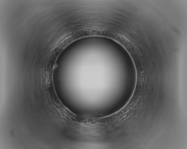 X0000113610774200909181418