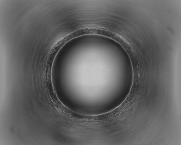 X0000113610775200909181418