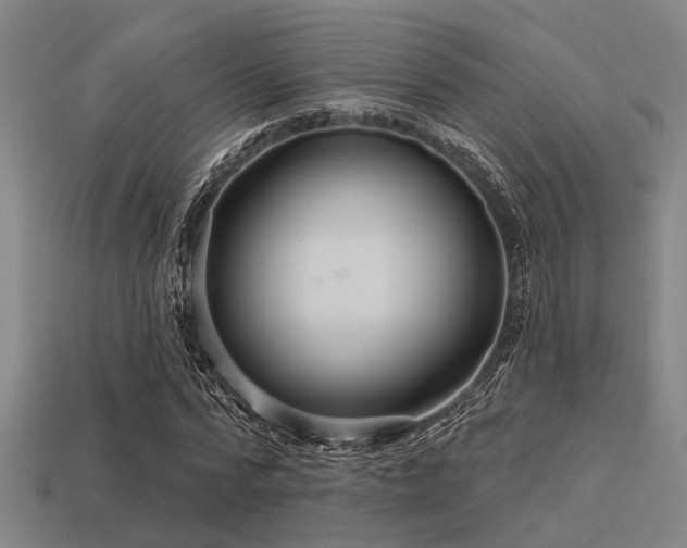 X0000113610776200909181418