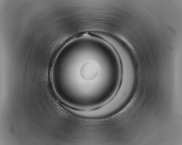 X0000113610777200909181418