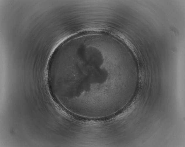 X0000113610779200909181418