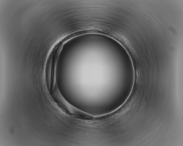 X0000113610780200909181418