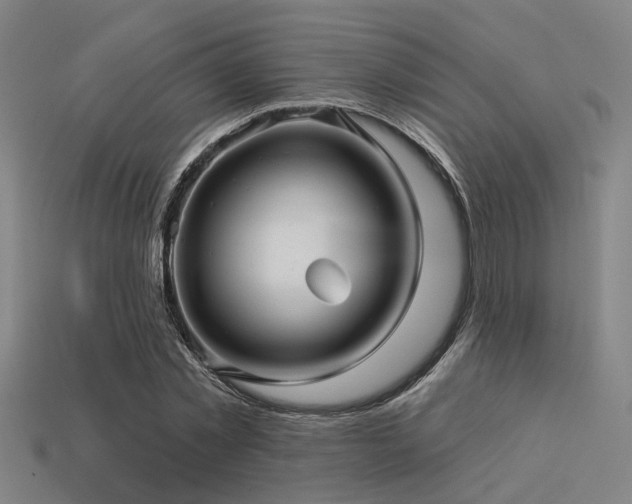 X0000113610781200909181418