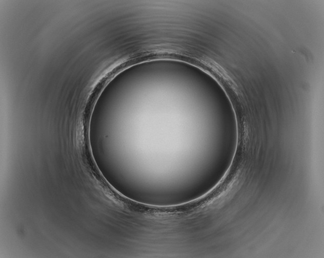 X0000113610782200909181418