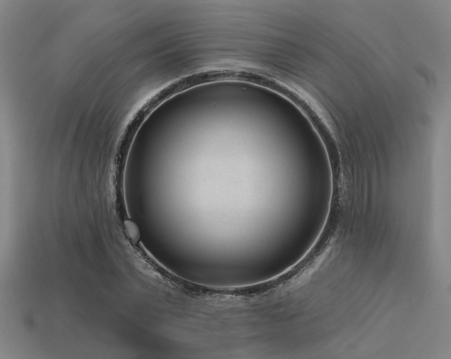 X0000113610783200909181418