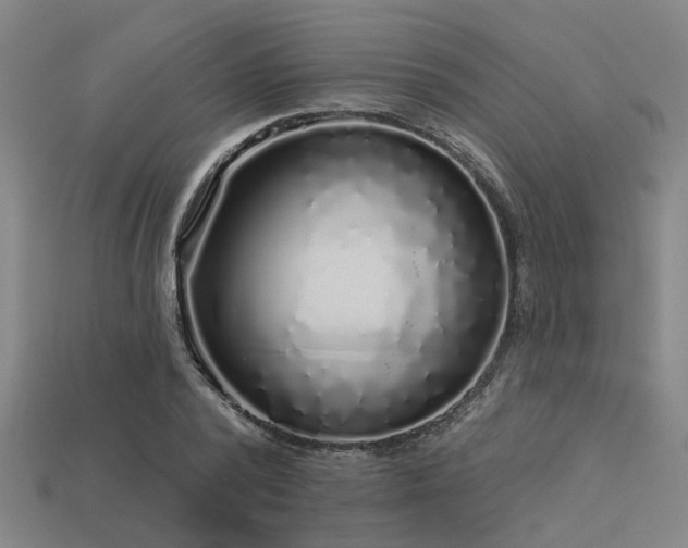 X0000113610784200909181418