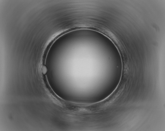 X0000113610787200909181418