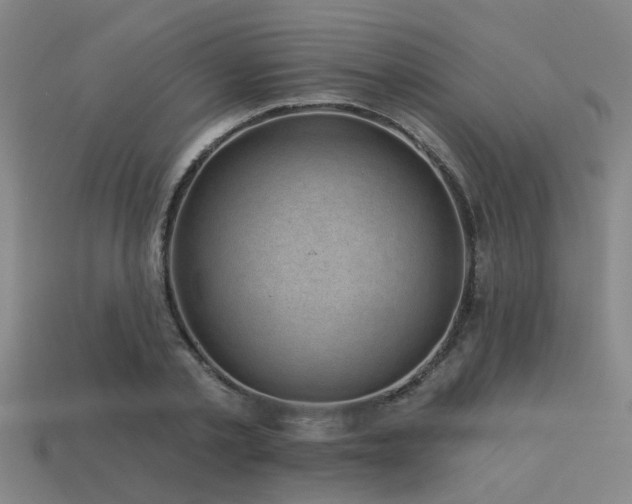 X0000113610789200909181418