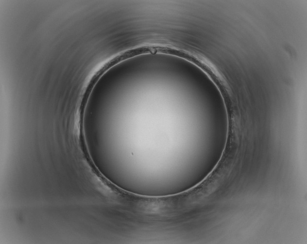 X0000113610791200909181418