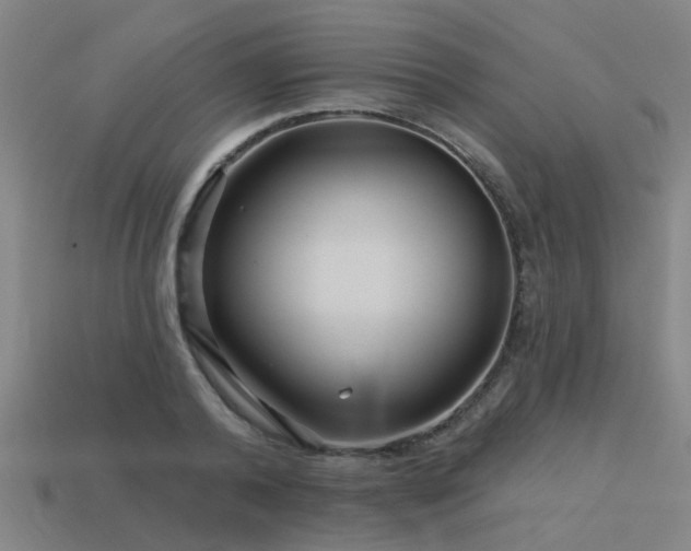 X0000113610792200909181418