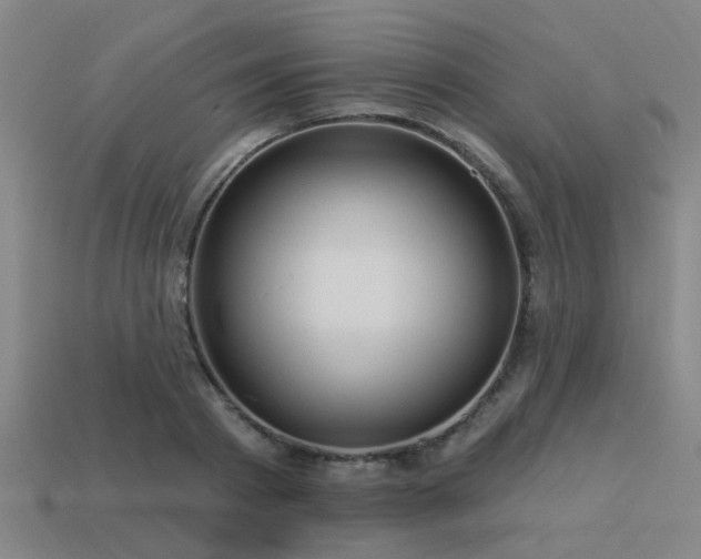 X0000113610793200909181418