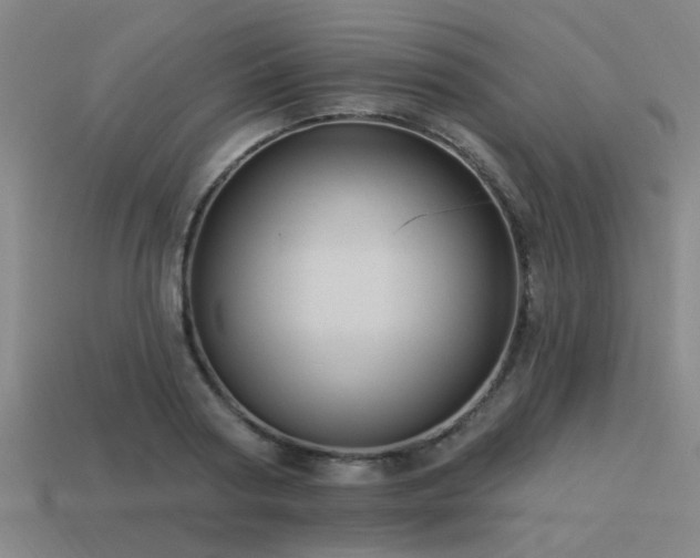 X0000113610794200909181418