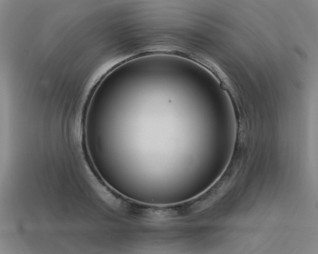 X0000113610795200909181418