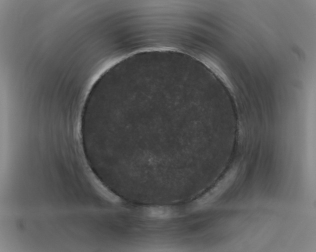 X0000113610797200909181418