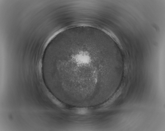 X0000113610798200909181418