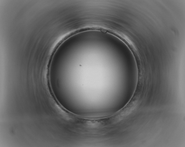 X0000113610799200909181418