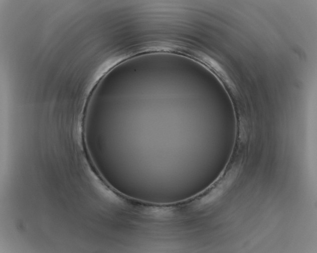 X0000113610802200909181418