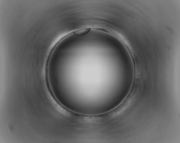 X0000113610803200909181418