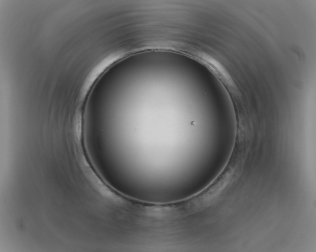 X0000113610804200909181418