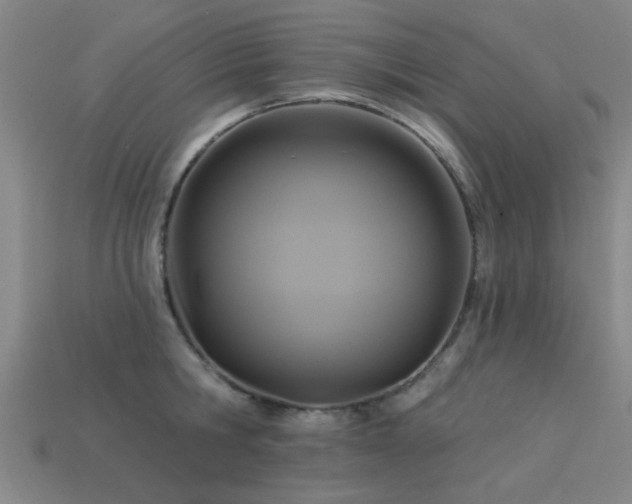 X0000113610806200909181418