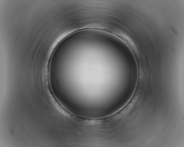 X0000113610808200909181418