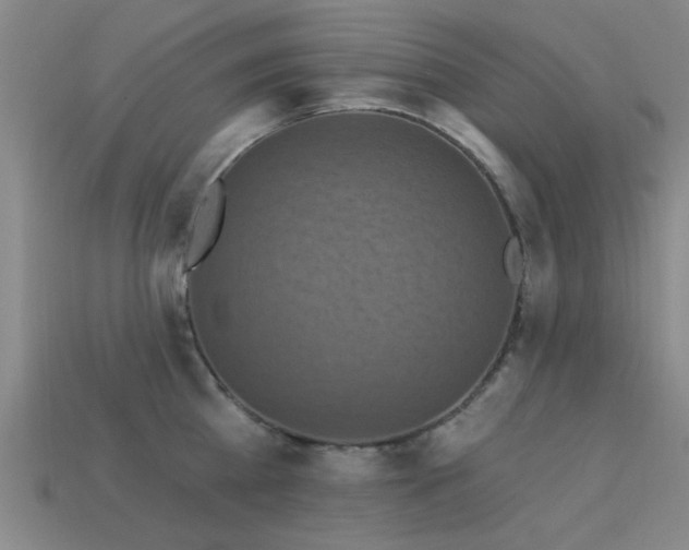 X0000113610809200909181418