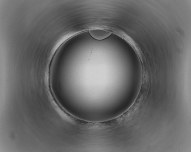 X0000113610811200909181418