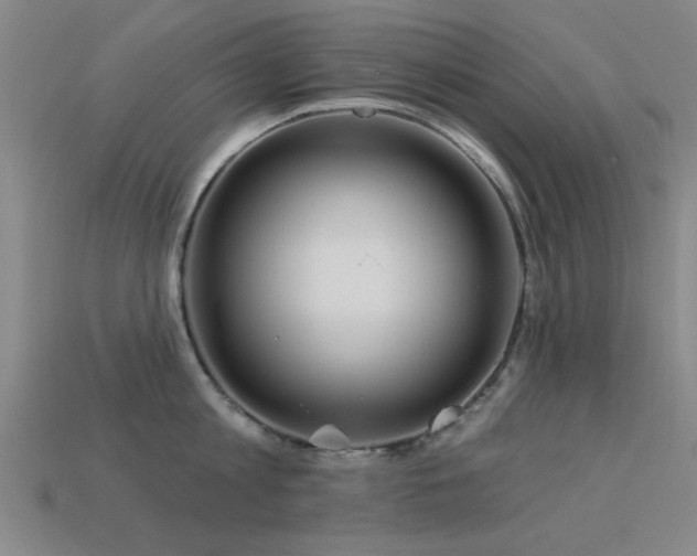 X0000113610813200909181418