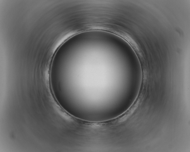 X0000113610814200909181418