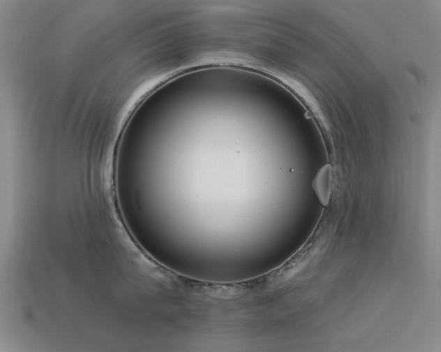 X0000113610815200909181418