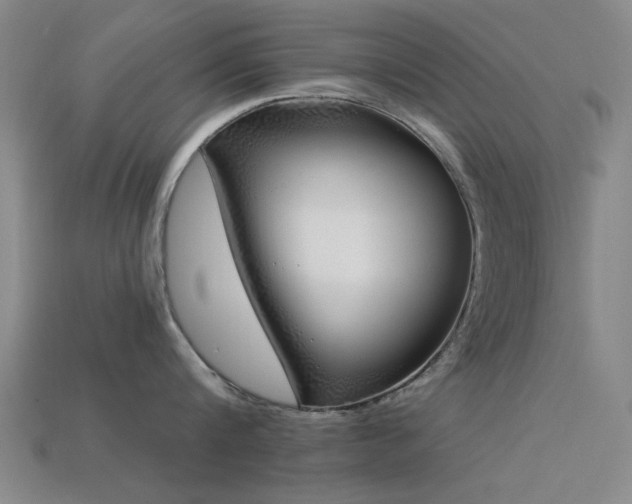 X0000113610816200909181418