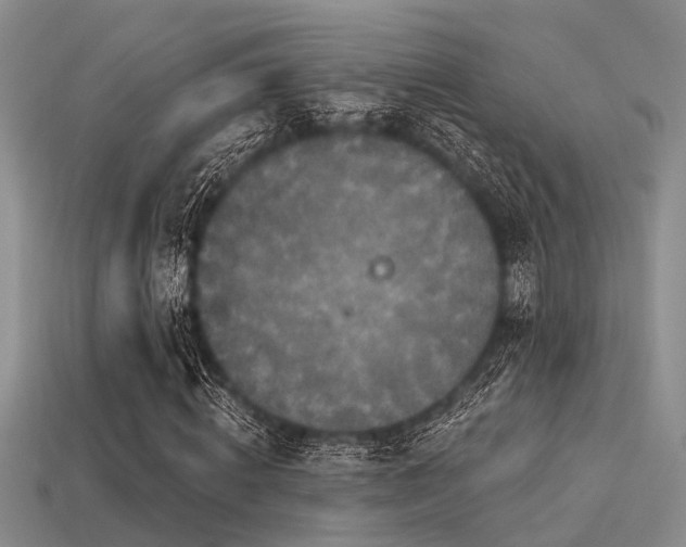 X0000113610820200909181417