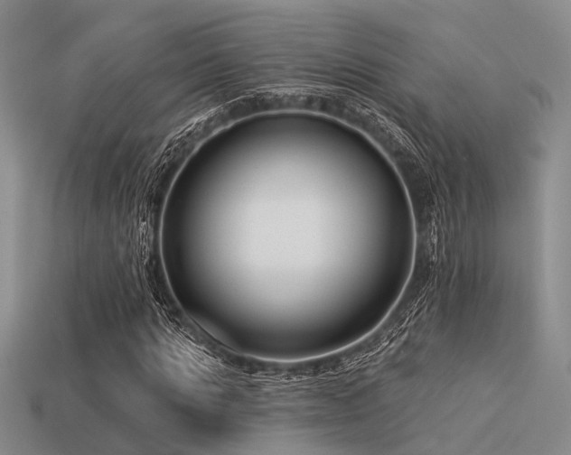 X0000113610821200909181417