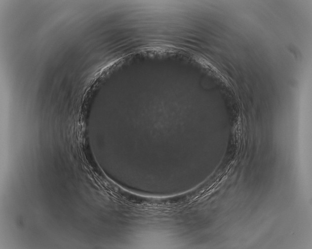 X0000113610822200909181417