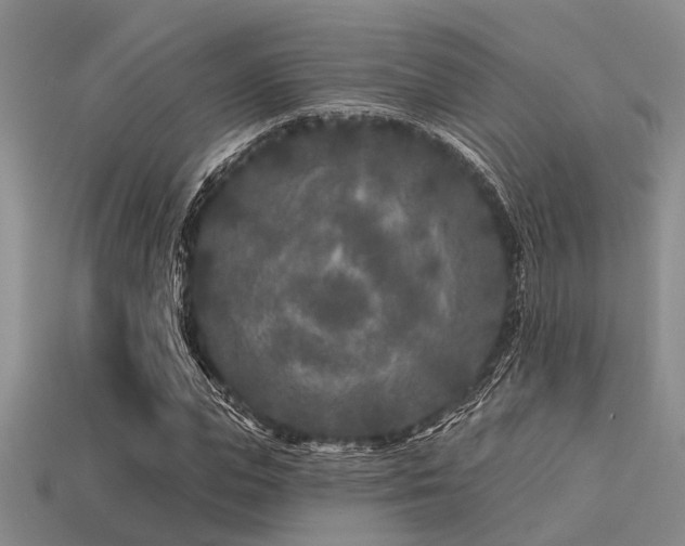 X0000113610823200909181417