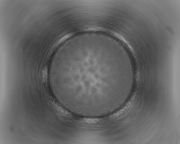 X0000113610825200909181417