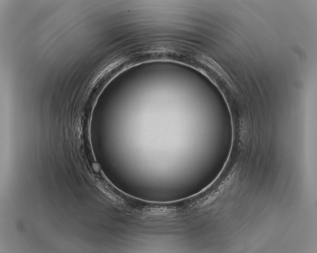 X0000113610826200909181417