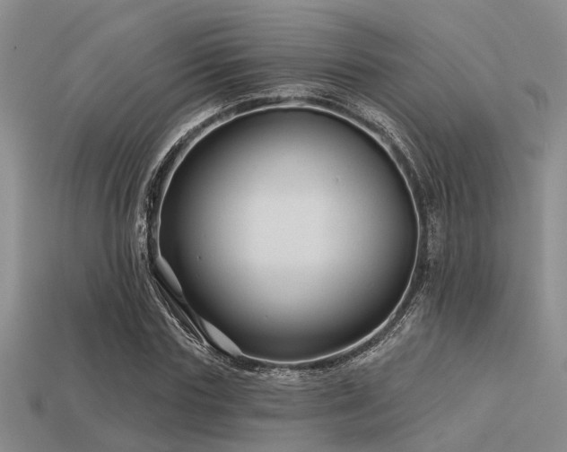 X0000113610827200909181417