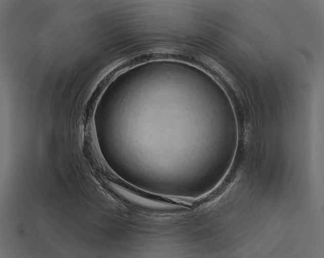 X0000113610829200909181417