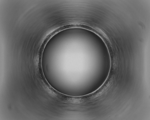 X0000113610831200909181417