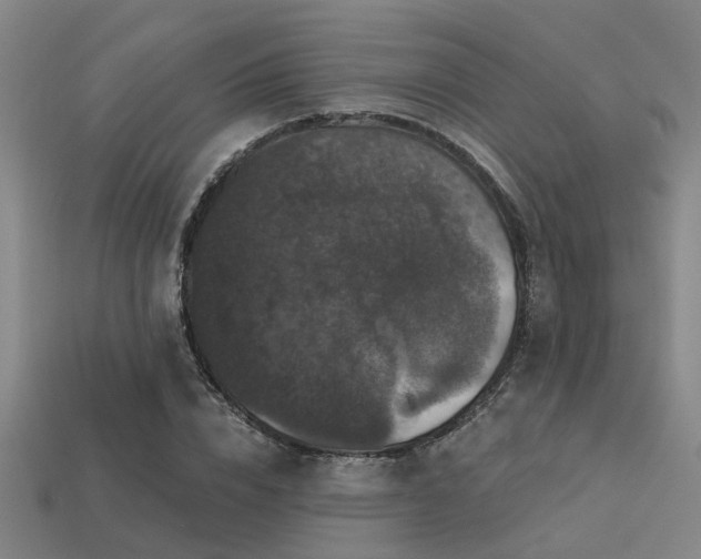 X0000113610832200909181417