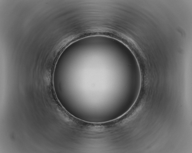 X0000113610833200909181417